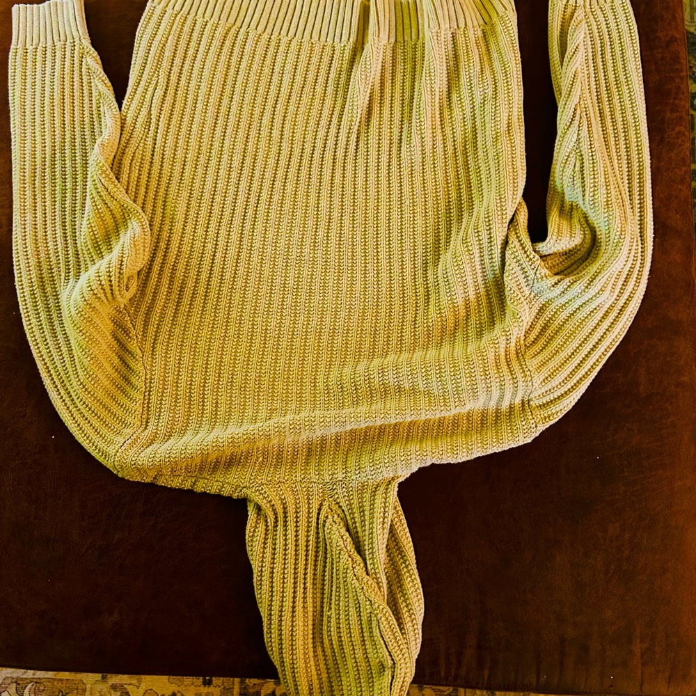 Taylor Stitch chunky knit hooded pullover sweater. Super comfy and warm!